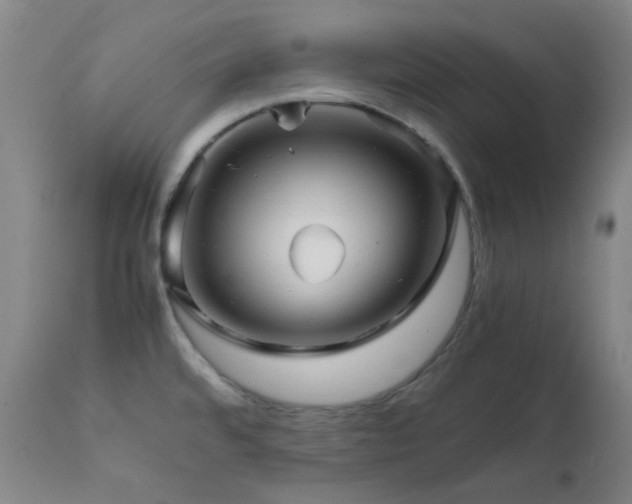 X0000111901480200907271145