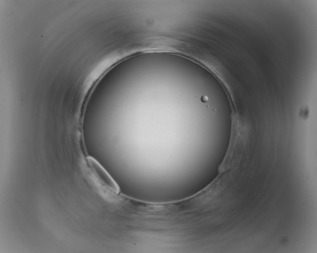 X0000111901485200907271145
