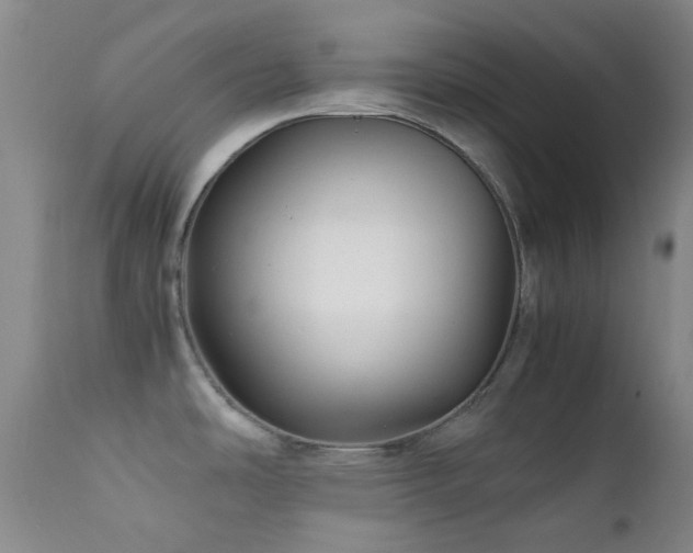 X0000111901486200907271145