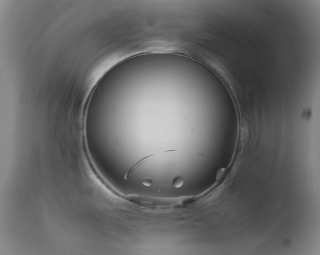 X0000111901487200907271145