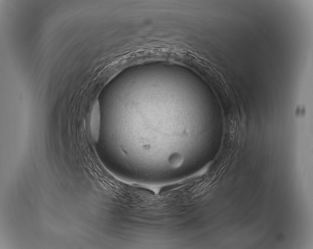 X0000111901489200907271144