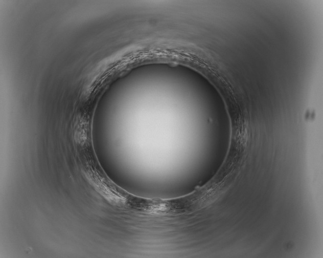 X0000111901490200907271144