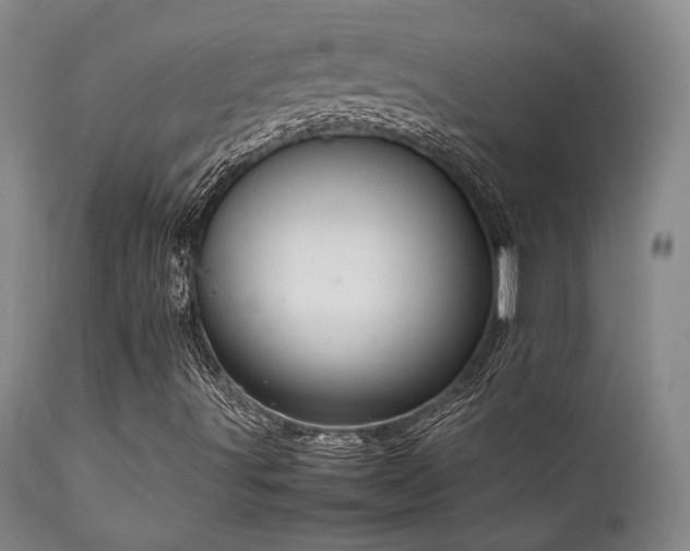 X0000111901491200907271144