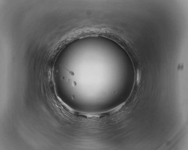 X0000111901492200907271144