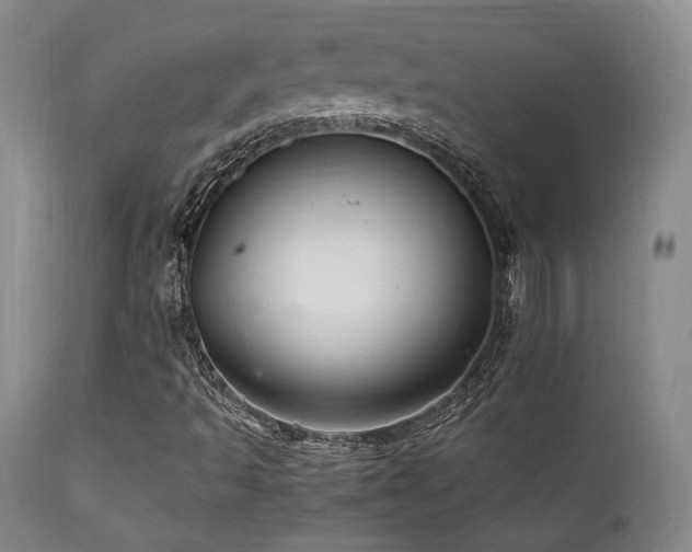 X0000111901493200907271144