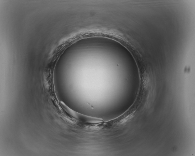 X0000111901494200907271144