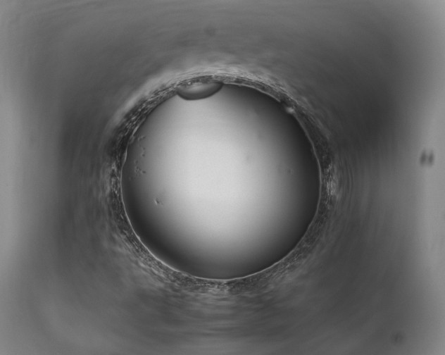 X0000111901495200907271144