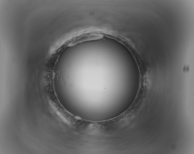 X0000111901496200907271144