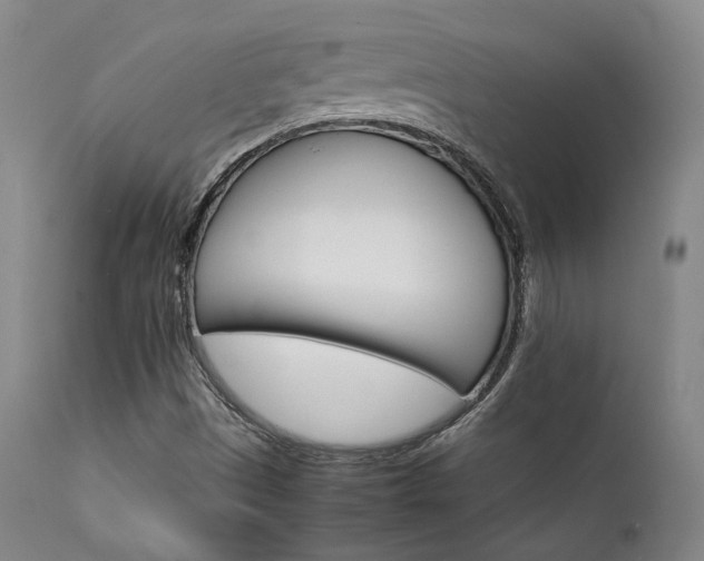 X0000111901497200907271144