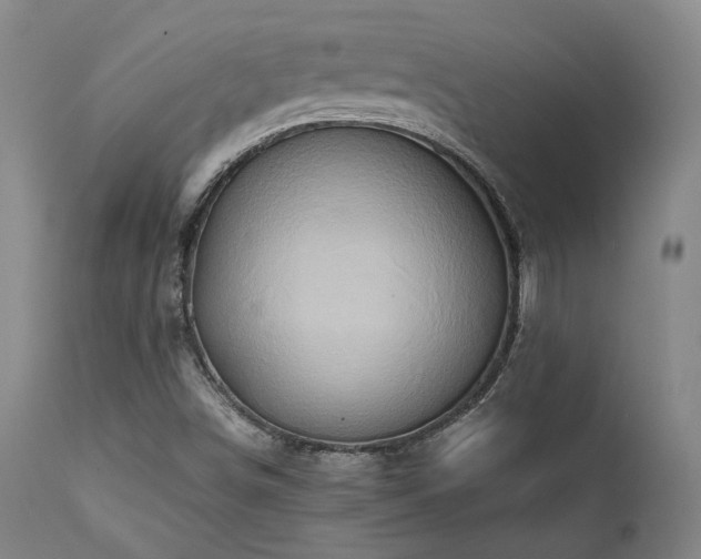 X0000111901498200907271144