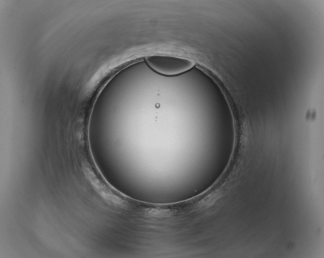 X0000111901499200907271145