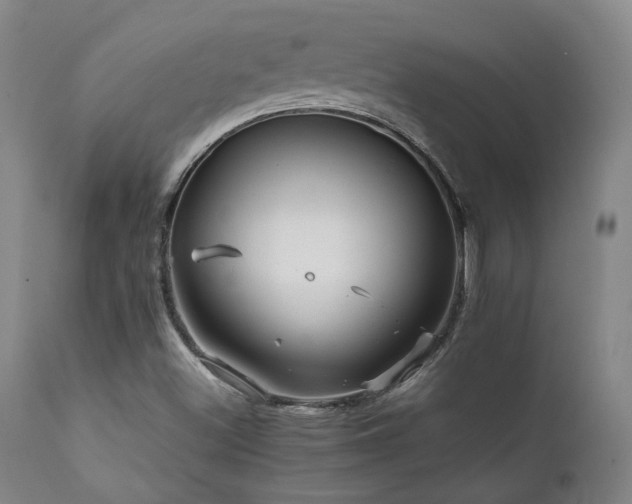 X0000111901500200907271145