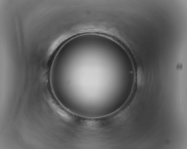 X0000111901501200907271145