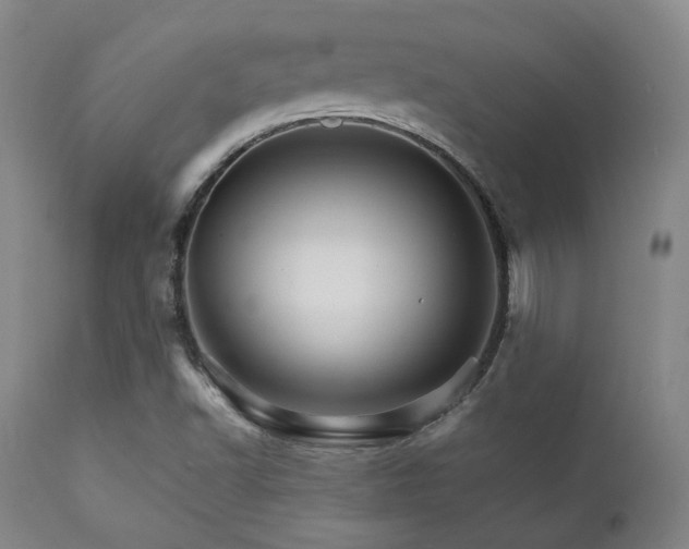 X0000111901502200907271145