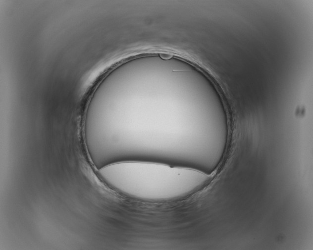 X0000111901503200907271145