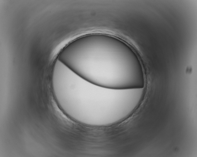 X0000111901504200907271145