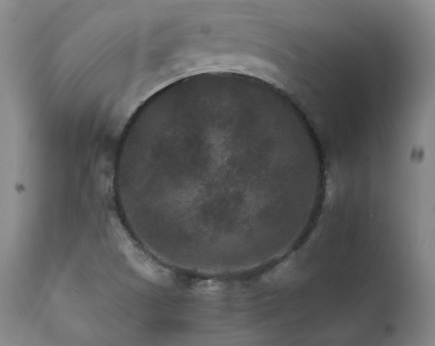 X0000111901505200907271145