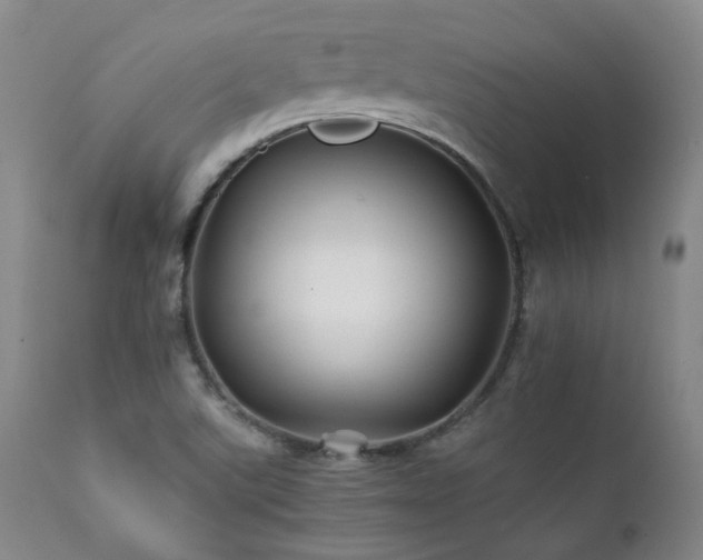 X0000111901507200907271145