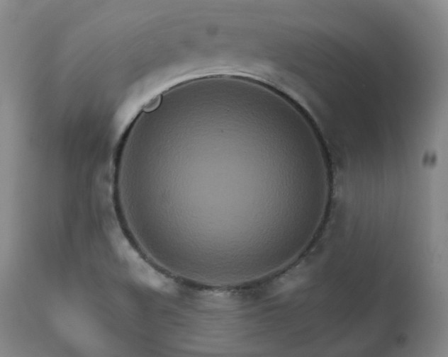 X0000111901508200907271145