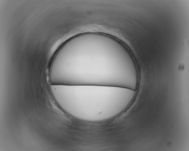 X0000111901509200907271145