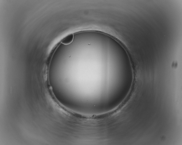 X0000111901510200907271145