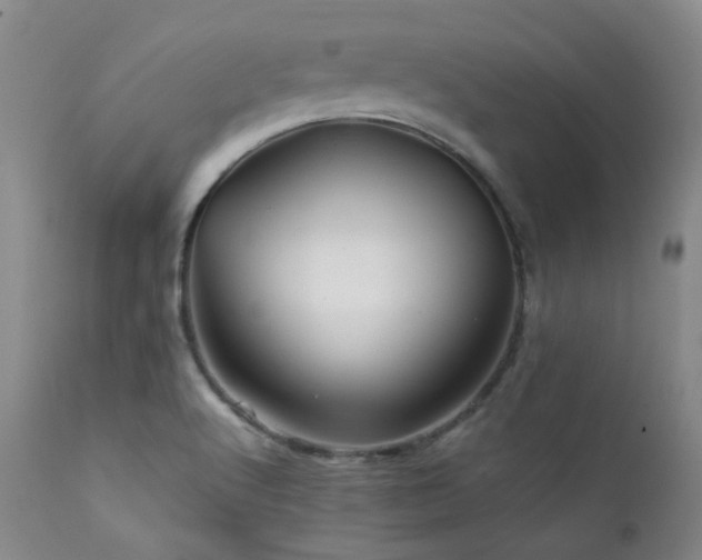 X0000111901512200907271145