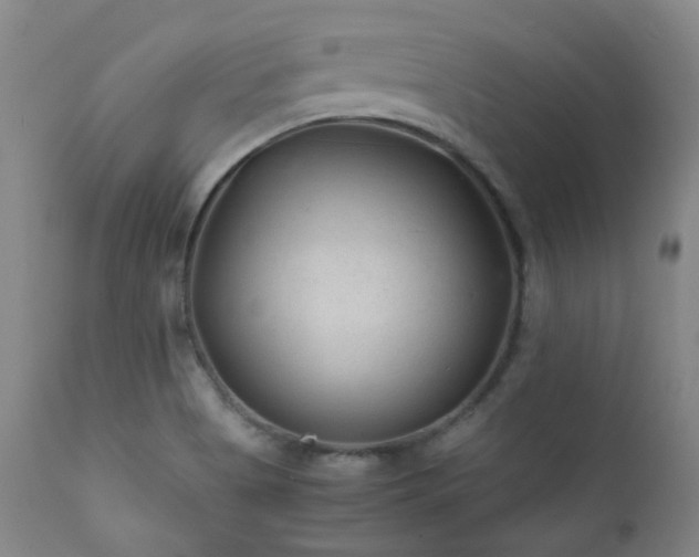 X0000111901513200907271145