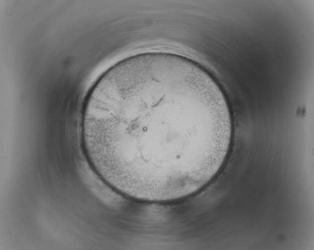 X0000111901514200907271145