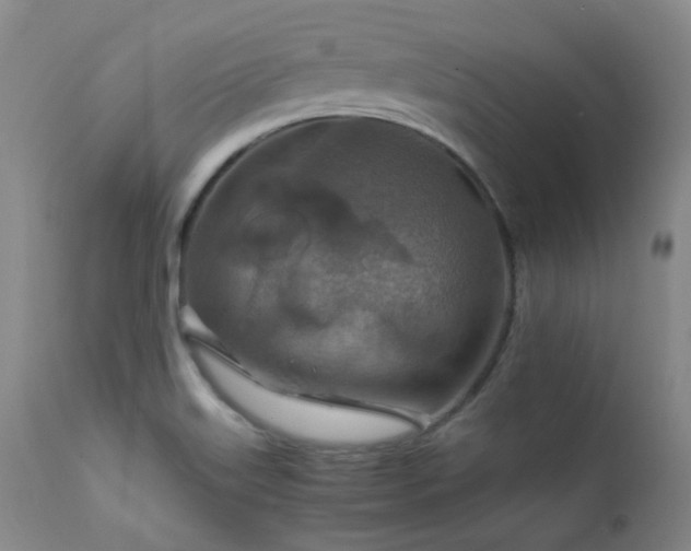 X0000111901515200907271145