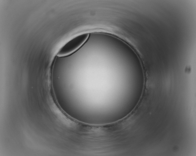 X0000111901516200907271145