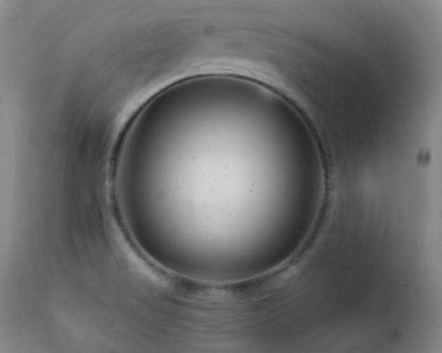 X0000111901517200907271145
