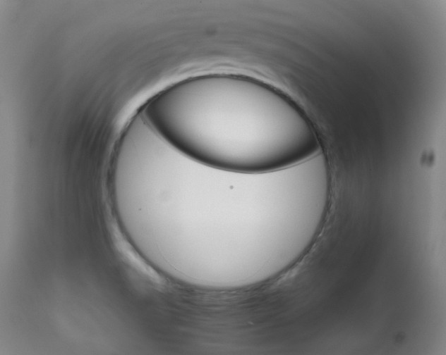 X0000111901518200907271145