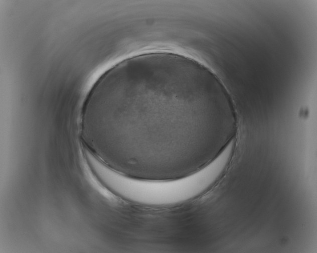 X0000111901519200907271145