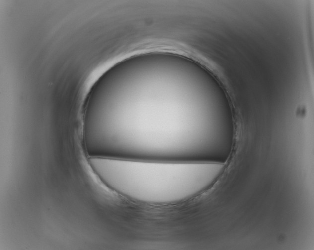 X0000111901520200907271145