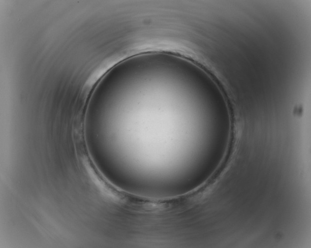 X0000111901521200907271145