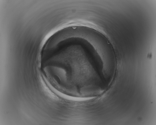 X0000111901522200907271145