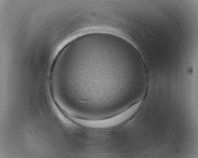 X0000111901523200907271145