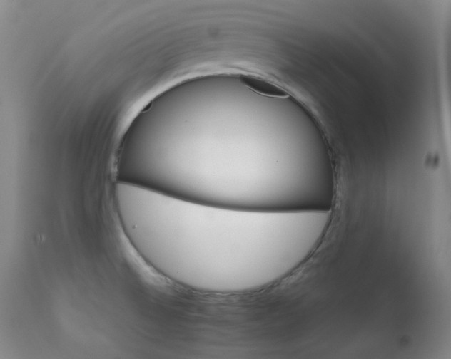 X0000111901524200907271145