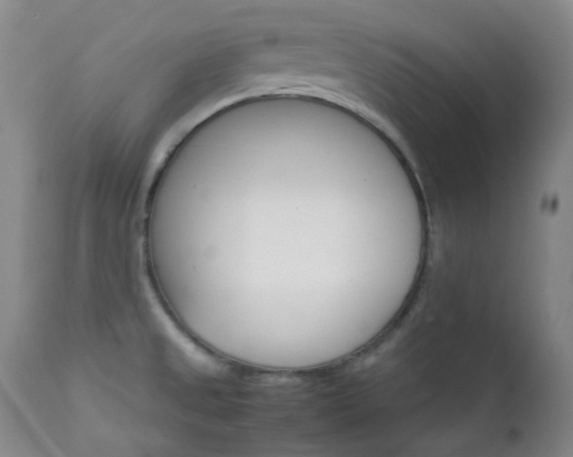 X0000111901525200907271145