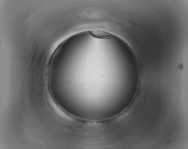 X0000111901526200907271145