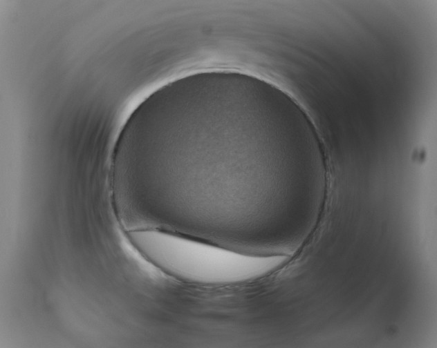 X0000111901527200907271145