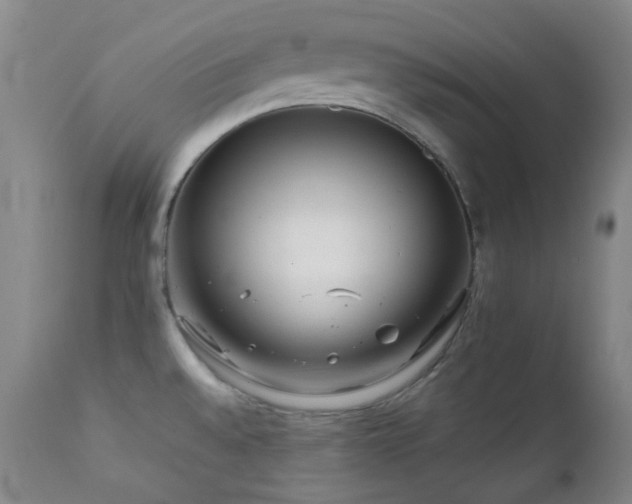 X0000111901528200907271145