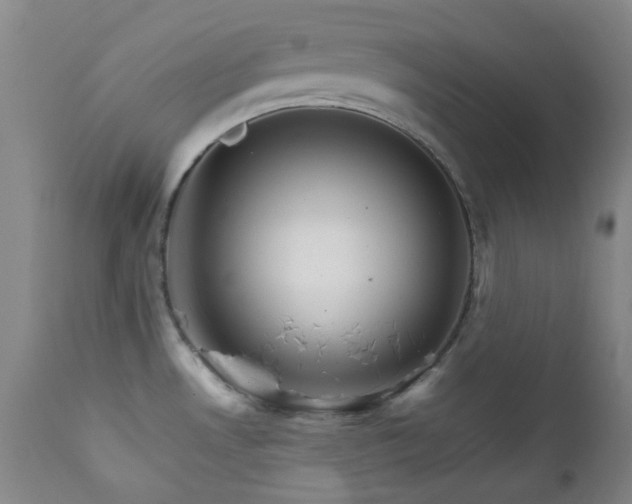 X0000111901530200907271145