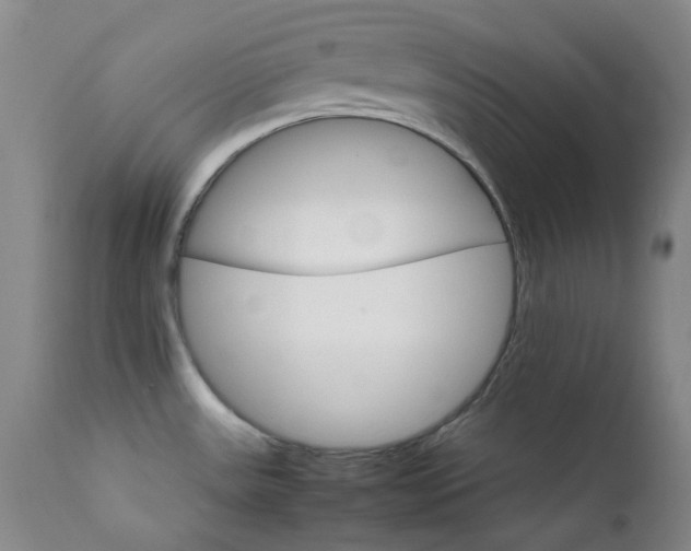 X0000111901531200907271145