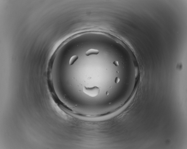 X0000111901532200907271145