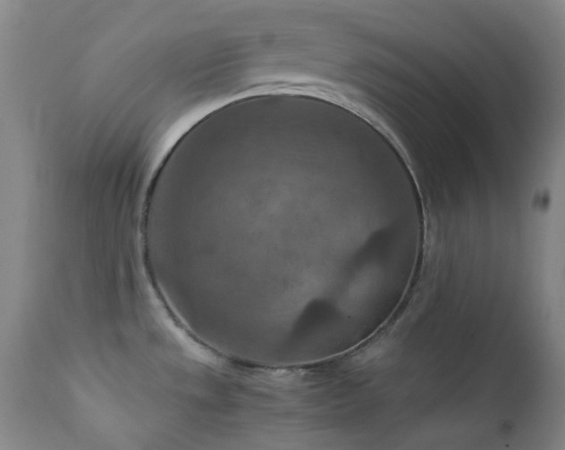X0000111901533200907271145