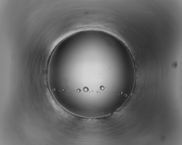 X0000111901534200907271145