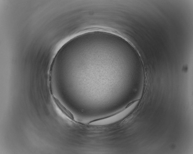 X0000111901535200907271145