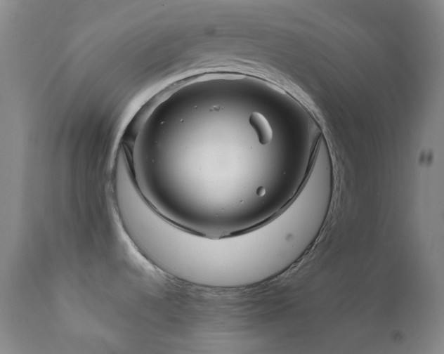 X0000111901536200907271145