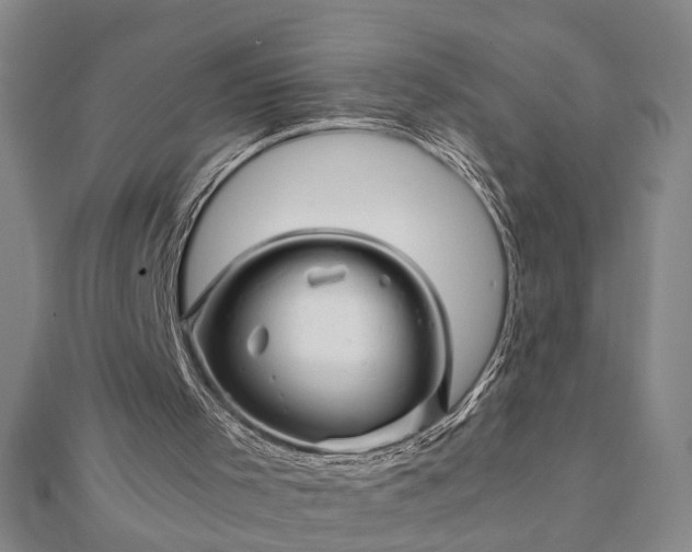 X0000111900001200908031127